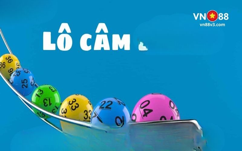 lo-cam-3